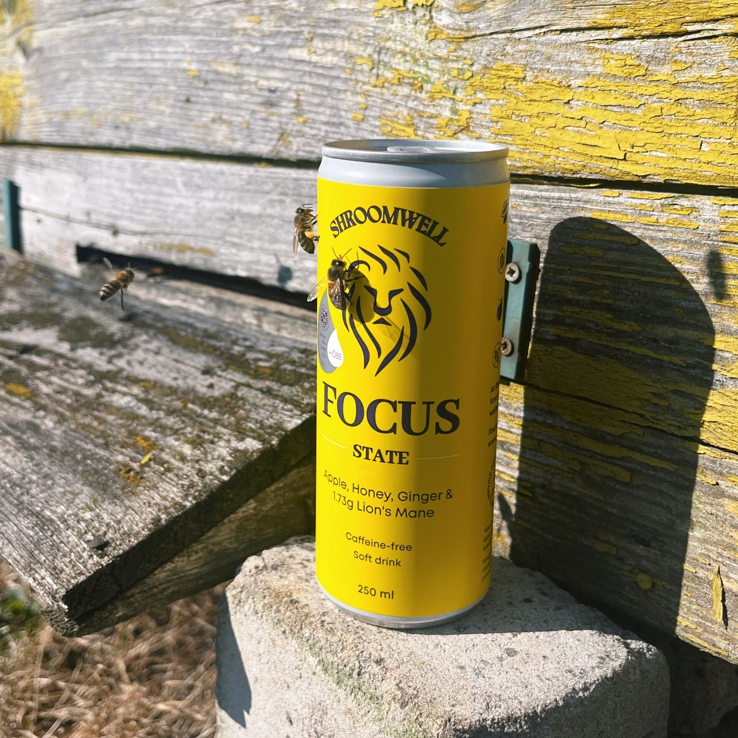 Soft Drink FOCUS STATE (6 Cans)