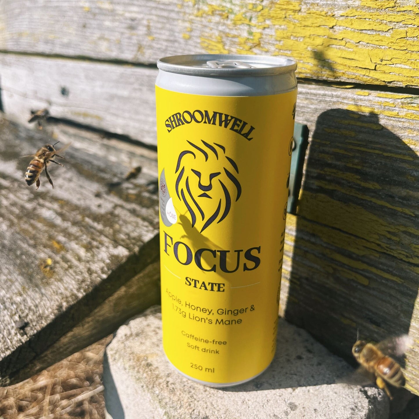 Soft Drink FOCUS STATE (6 Cans)