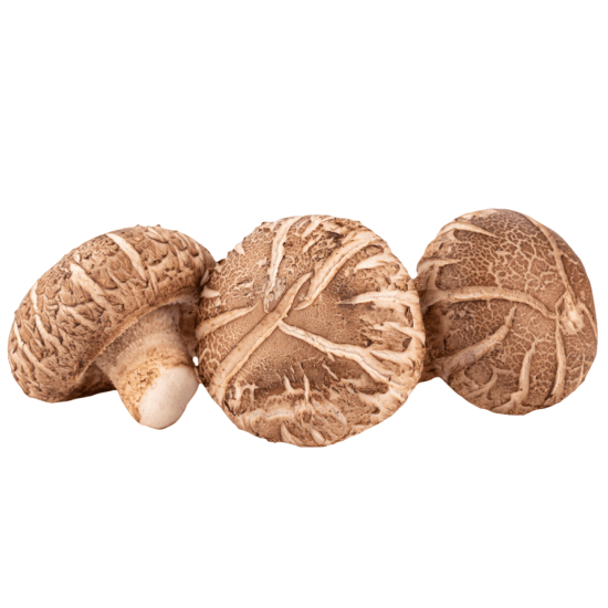 Shiitake