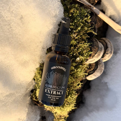 Cordyceps Tincture 30ml