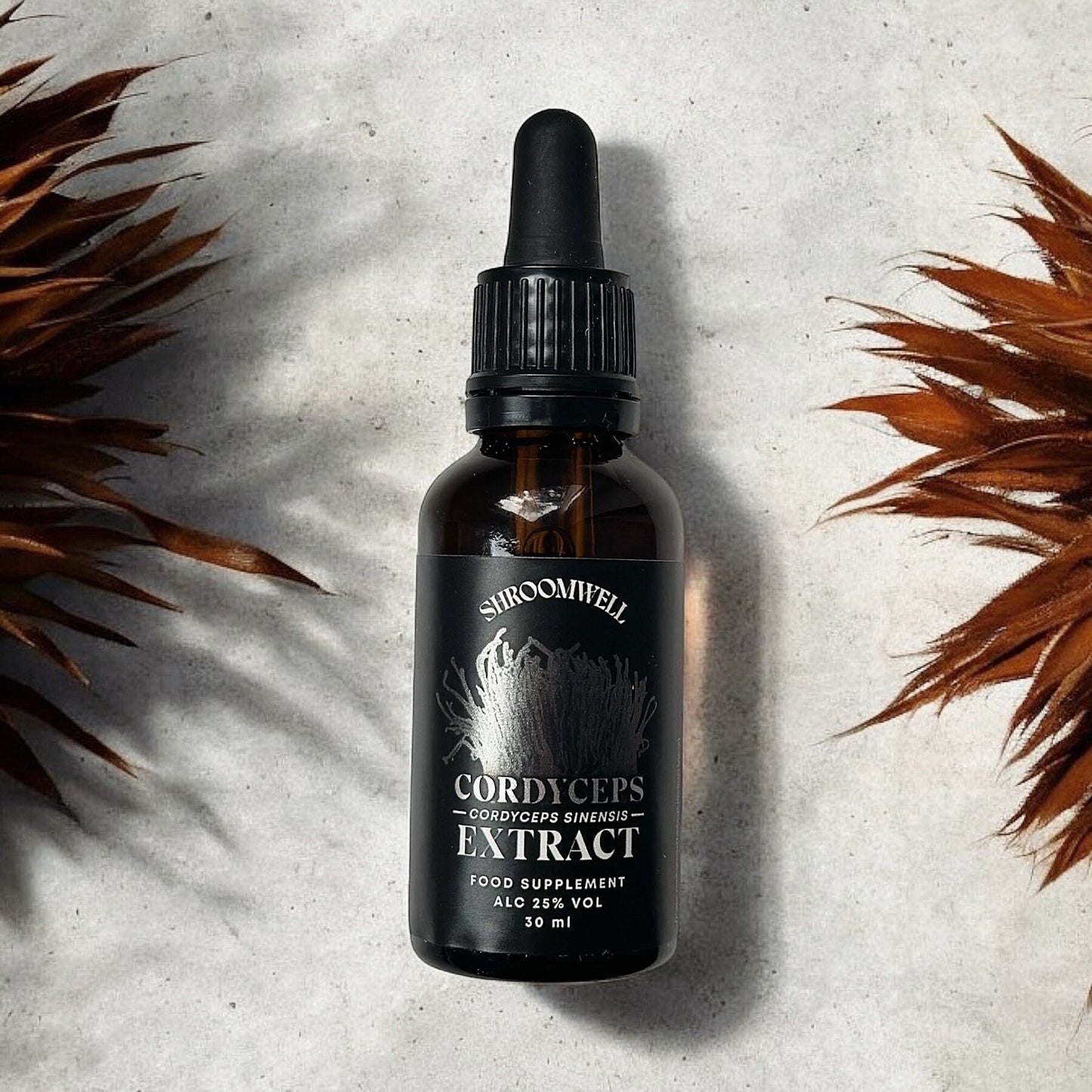 Cordyceps Tincture 30ml