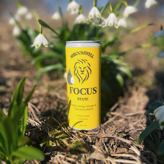 Soft Drink FOCUS STATE (6 Cans)
