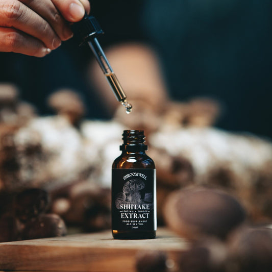 Shiitake Tincture 30ml